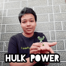 Jagyasini Singh Hulk GIF - Jagyasini Singh Hulk Hulk Power GIFs