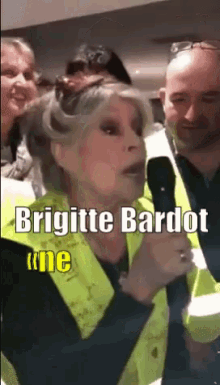 Brigitte Bardot Gilets Jaunes GIF - Brigitte Bardot Gilets Jaunes Gilet Jaune GIFs