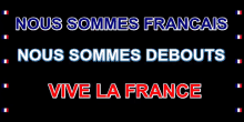 Vive La France GIF - Vive La France République Française Patriote GIFs