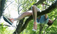 GIF