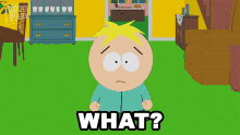 What Butters Stotch GIF
