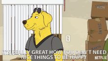 its really great you dont need nice things to be happy thats great bojack horseman netflix