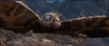 Godzilla Ebirah Horror Of The Deep GIF - Godzilla Ebirah Horror Of The Deep Mothra GIFs