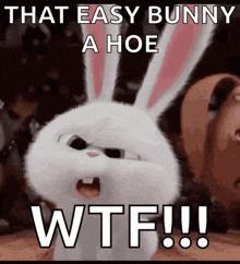 a picture of a bunny with the words that easy bunny a hoe wtf !!