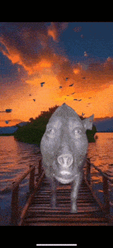 a pig is walking across a wooden bridge over a body of water