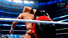 two men are wrestling in a wrestling ring on a television screen .