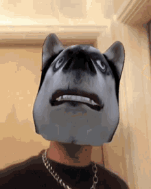 a man wearing a husky mask on his face .