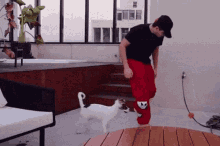 a man in a black shirt and red pants is playing with a small white dog