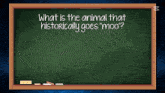 a blackboard with the question what is the animal that historically goes " moo " written on it