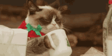 Need More Coffee Grumpy Cat GIF - Need More Coffee Grumpy Cat Christmas Cheer GIFs