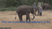 Elephant Can Kick The Elephan Is You GIF - Elephant Can Kick The Elephan Is You Elephant Is Me GIFs