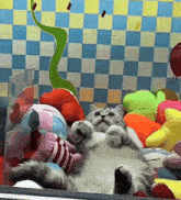 a cat laying on its back surrounded by stuffed animals and balloons