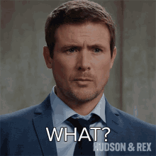 What Charlie Hudson GIF - What Charlie Hudson Hudson And Rex GIFs