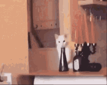 Cats Plup GIF - Cats Plup Fiction GIFs