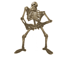sam jones sam samuel skeleton