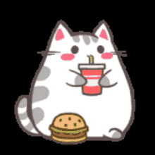 cat drink cola eat burger