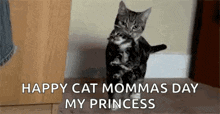 a cat is holding a kitten in its arms and saying happy cat mommas day my princess .