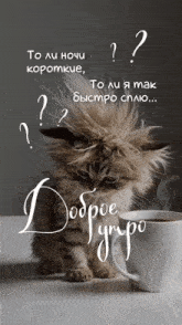a picture of a kitten next to a cup of coffee with the words " доброе утро "