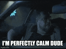 a man is sitting in a car with the words i 'm perfectly calm dude