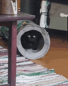 Cat Scared GIF - Cat Scared Frightened GIFs