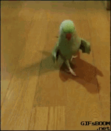 bird strut