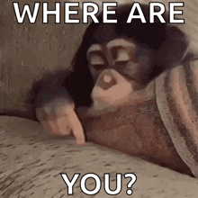 a chimpanzee is laying on a couch and pointing at the camera with the words `` where are you ? ''