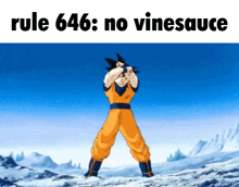 a cartoon of a man standing in the snow with the words `` rule 646 : no vinesauce '' written above him .