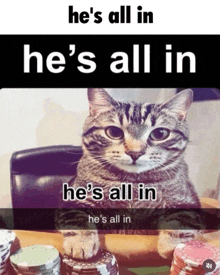 a cat is sitting at a table with stacks of poker chips and the caption he 's all in