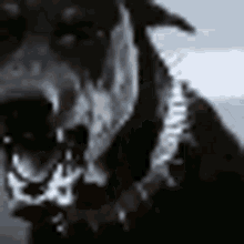 Scared Scary GIF - Scared Scary GIFs