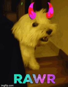 Ricowestie Devil Dog GIF