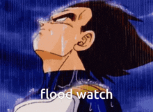 a cartoon character with the words flood watch written on the bottom