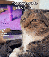 Nicki Flop GIF - Nicki Flop GIFs