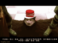 Cat In The Hat 2003 GIF - Cat In The Hat 2003 Movie GIFs
