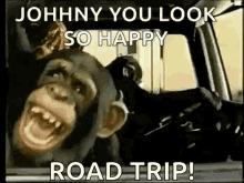 Monkey Road Trip GIF