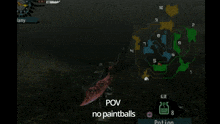 a screenshot of a video game with the words pov no paintballs