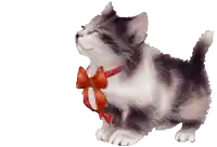 a cat with a red bow on its neck
