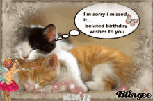 Belated Happy Birthday Cat GIF - Belated Happy Birthday Cat Missed You GIFs