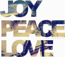 dr joy joy peace love shine on