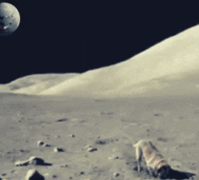 Mr Moon Moon Landing GIF - Mr Moon Moon Landing GIFs