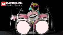 Pug Drums Dog Drums GIF - Pug Drums Dog Drums Drums Solo GIFs