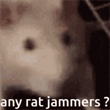 Rat Jam Rat GIF - Rat Jam Rat Jammer GIFs