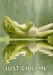 Frog Lily GIF - Frog Lily Lake GIFs