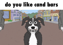 Mr Pickles Candy Bar GIF
