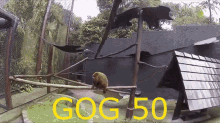 Gog Gog50 GIF - Gog Gog50 GIFs