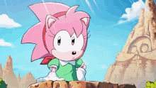 Sonic The Hedgehog Sonic Origins GIF - Sonic The Hedgehog Sonic Origins Amy Rose GIFs
