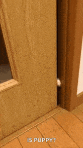 a cat is peeking out of a wooden door and asking if it 's a puppy .