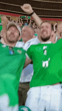 Crowd Cheering Northern Ireland GIF - Crowd Cheering Northern Ireland Celebrating GIFs