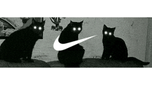 three black cats with bright eyes are sitting next to each other on a bed in front of a nike logo .