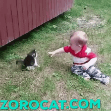 Babby Cat Cat Paly With Babby GIF