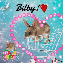 Bilby Easter GIF - Bilby Easter Trolley GIFs
